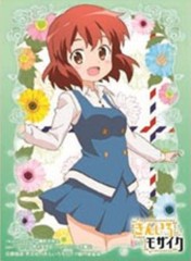 Chara Sleeve Collection No. MT011 Mat Series 